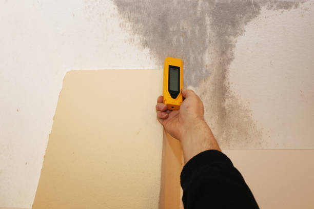 Best Air Quality Testing for Mold Spores  in Eagle, NE