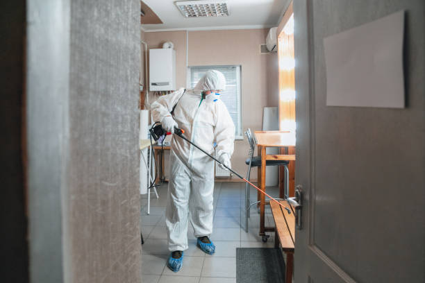 Best Commercial Mold Inspection  in Eagle, NE
