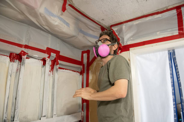 Best Asbestos and Lead Testing During Mold Inspection  in Eagle, NE