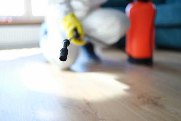 Best Mold Removal for HVAC Installations  in Eagle, NE