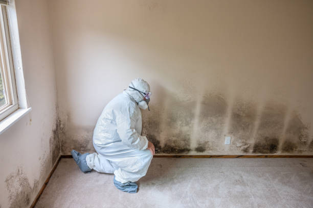 Best Biohazard Mold Removal  in Eagle, NE