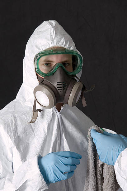 Best Crawl Space Mold Remediation  in Eagle, NE